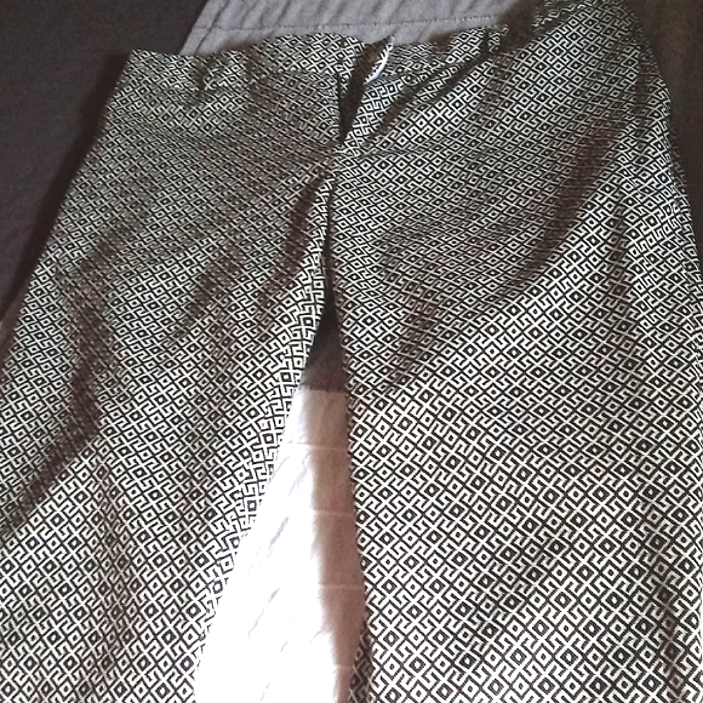 NWT 💐Banana Republic Hampton Pant